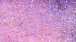 Hareline Ice Dub UV Pink