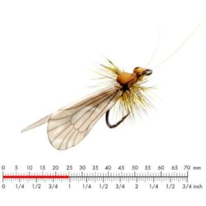 J:on Caddis Adult 1 Cinnamon Brown #12