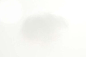 STF Flyco Dubbing White Transparant