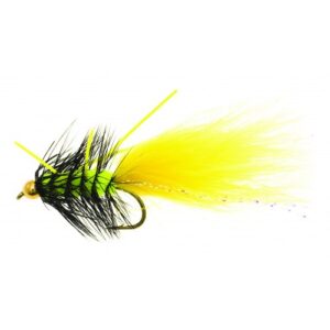 Unique P&T 1 FL00120 Dog Nobbler Tiger Kamasan B170 #4