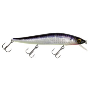 Viper Pro Suicide Flanker Jr. Twitchbait 10,8cm - 15gr Violett Shiner - Wobler