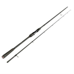 Sportex Beyond RS-2 Seatrout, 9 fod - 9-34 g
