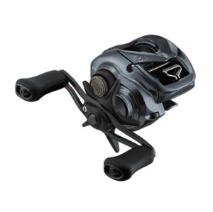 Daiwa 24 Tatula SW TW 100H