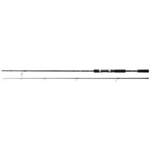 Shimano FX XT Spinning, 7 fod - 10-30 g