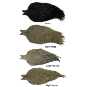Whiting Coq de Leon Cape