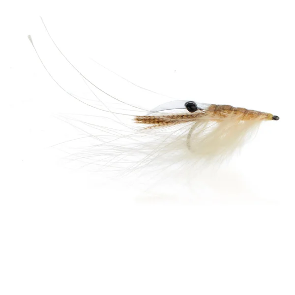 Crangon Shrimp - Cream Kystflue