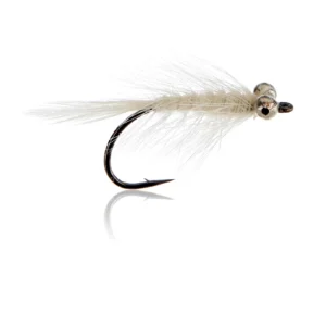 Den Hvide Prins Kystflue