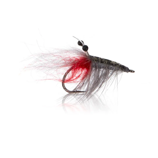 John Shrimp - Grey Kystflue