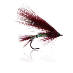P.K. Flash No. 9 Kystflue