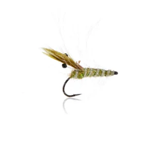 Panic Shrimp - Olive Kystflue