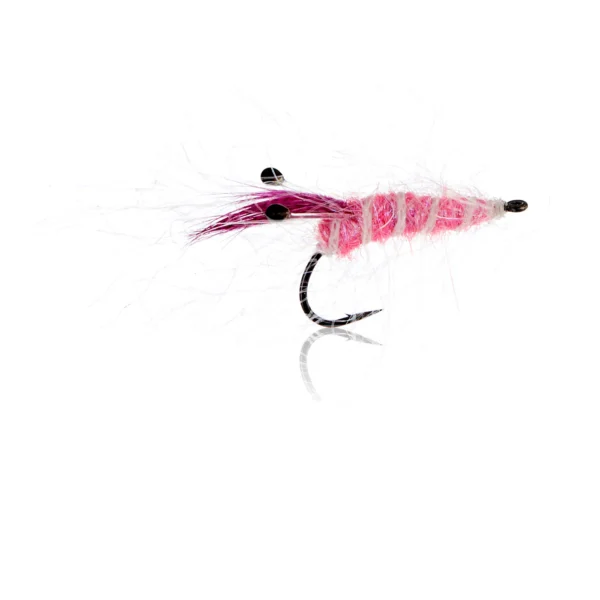 Panic Shrimp - Pink Kystflue