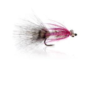 Polar Magnus Kystflue