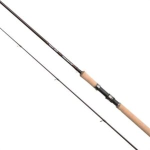 Savage Gear Custom Coastal, 9 fod - 10-30 g