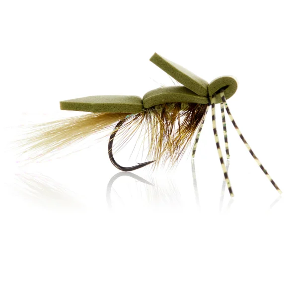 Skumflue - Olive Kystflue