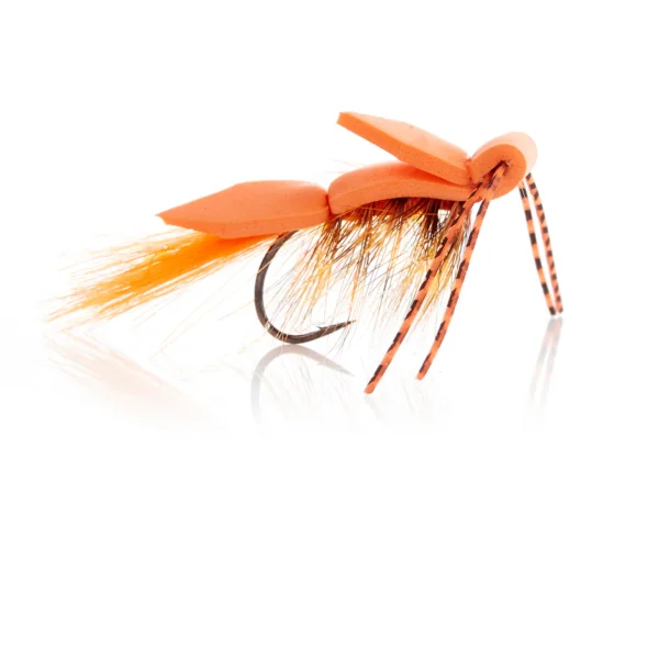 Skumflue - Orange Kystflue