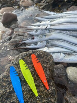 Fishnote Salty 18g - Hornfisk/Kyst pakken