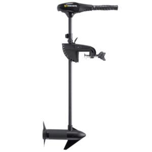 Minn Kota Endura C2 40 36'