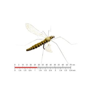 J:on Cranefly Olive Grey #10