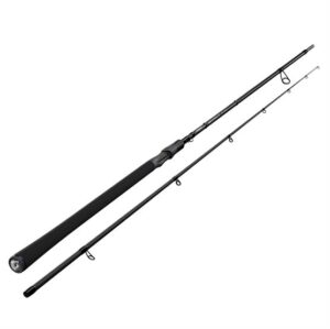 Sportex Seatrout Xpert, 10,3 fod - 10-35 g