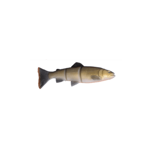 Savage Gear 3d Line Thru Trout 20cm - 98gr Roach - Softbait