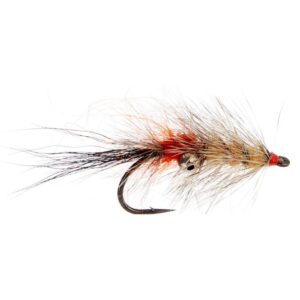 A. Jensen Vaskebjørn