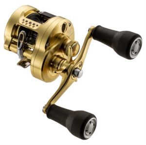 Shimano Calcutta Conquest MD 301XGLH