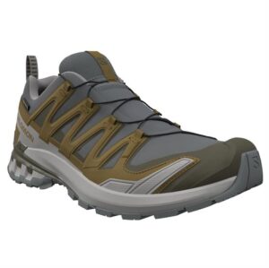 Salomon XA Pro 3D V9 GTX Mens, Sedona Sage / Plantation