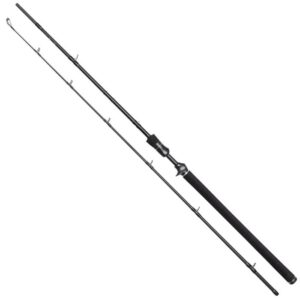 Westin W3 Jerkbait-T 3rd 6'6 20-80gr